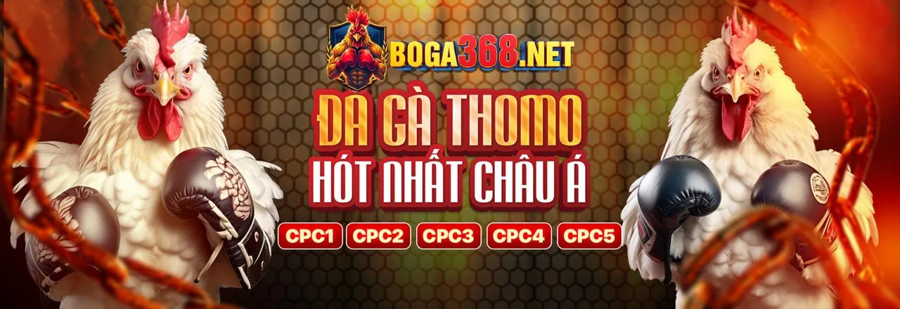 Sân vận động bóng đá với không khí sôi động, thể hiện cá cược thể thao DV88 Code