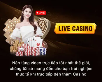 Văn phòng đại diện DV88 Code